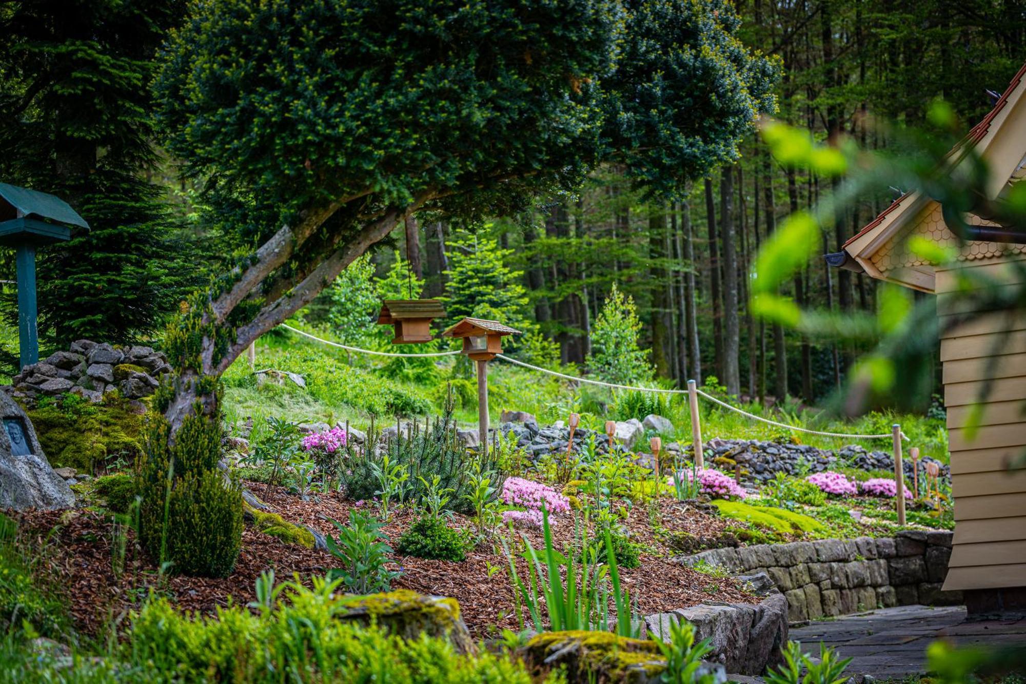 Sonnenhaeusle - Natur. Fernblick. Panorama-Sauna. Sasbachwalden Exterior foto