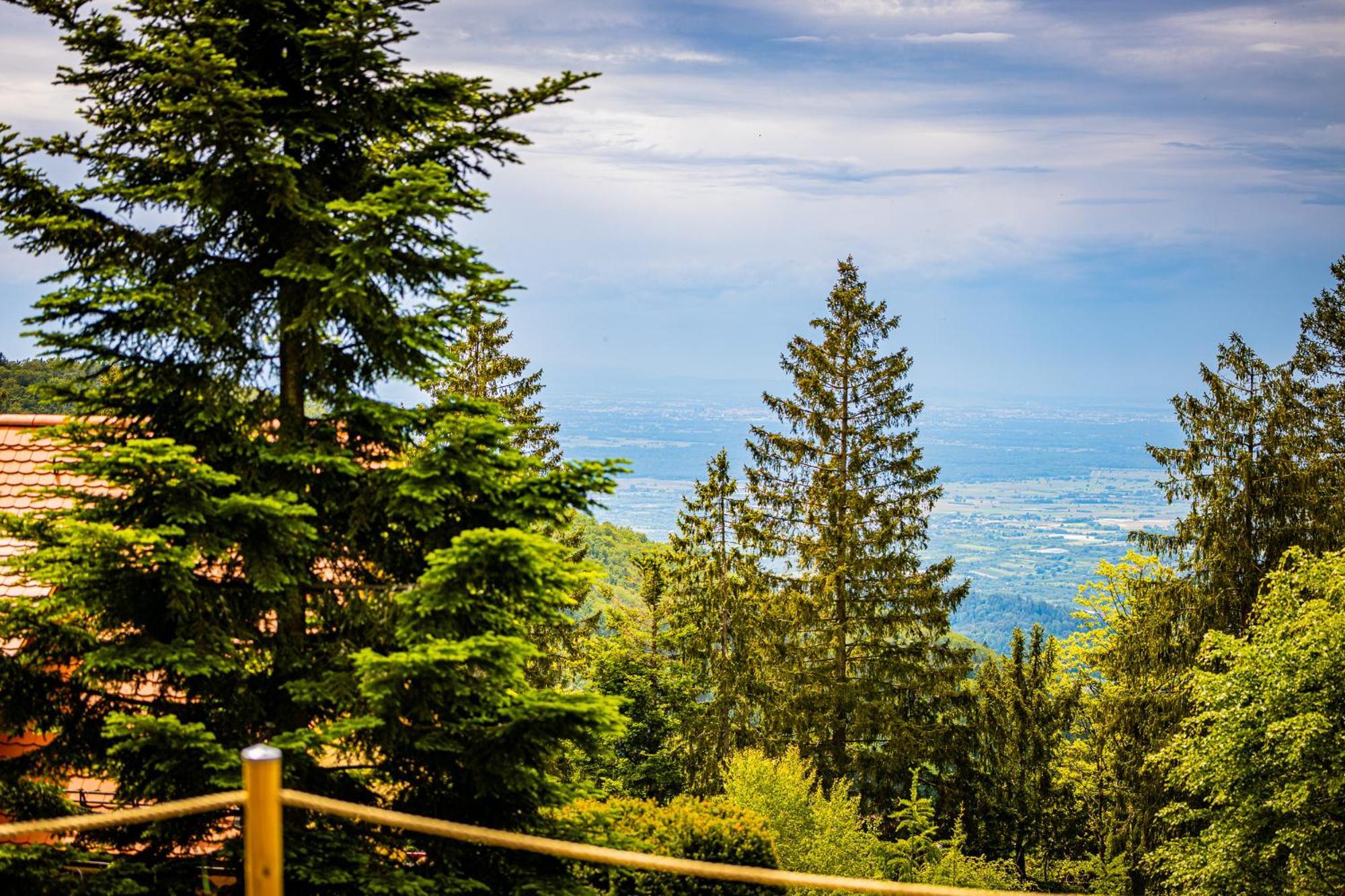 Sonnenhaeusle - Natur. Fernblick. Panorama-Sauna. Sasbachwalden Exterior foto