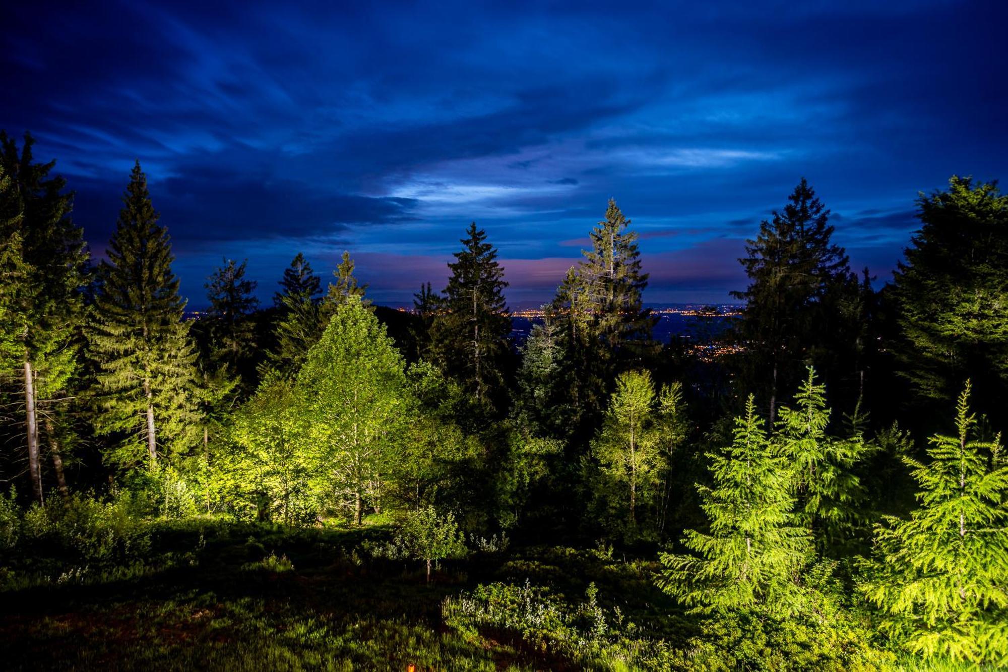 Sonnenhaeusle - Natur. Fernblick. Panorama-Sauna. Sasbachwalden Exterior foto
