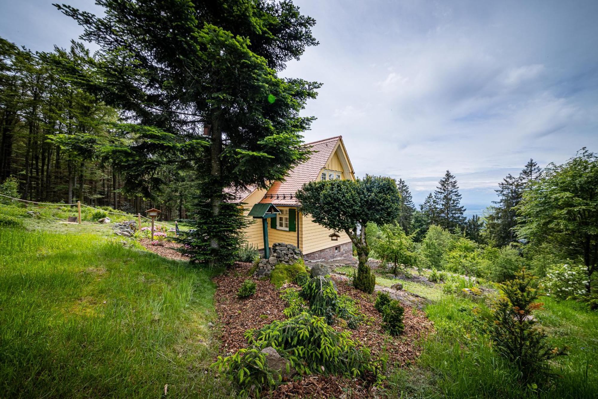 Sonnenhaeusle - Natur. Fernblick. Panorama-Sauna. Sasbachwalden Exterior foto