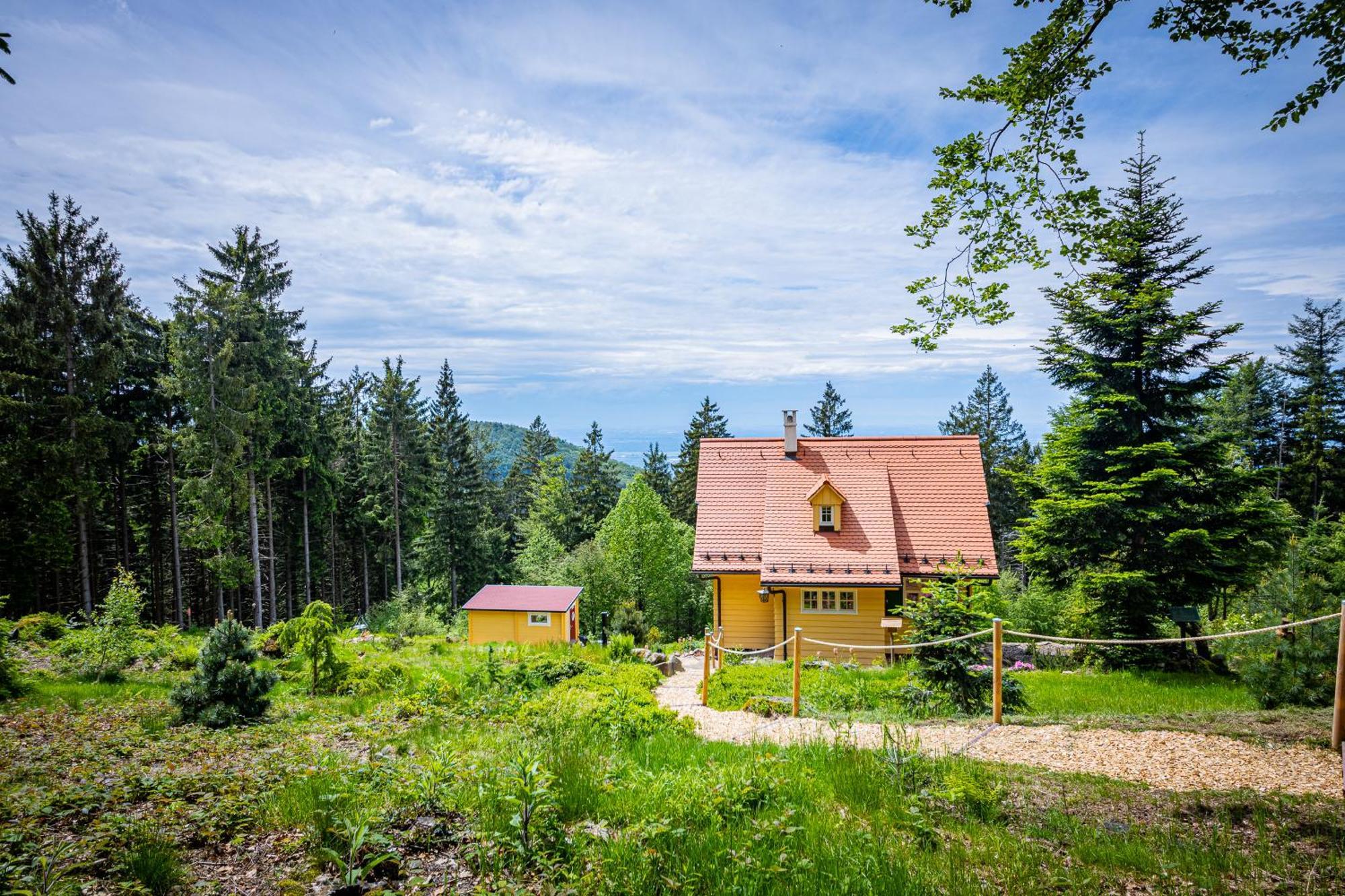Sonnenhaeusle - Natur. Fernblick. Panorama-Sauna. Sasbachwalden Exterior foto