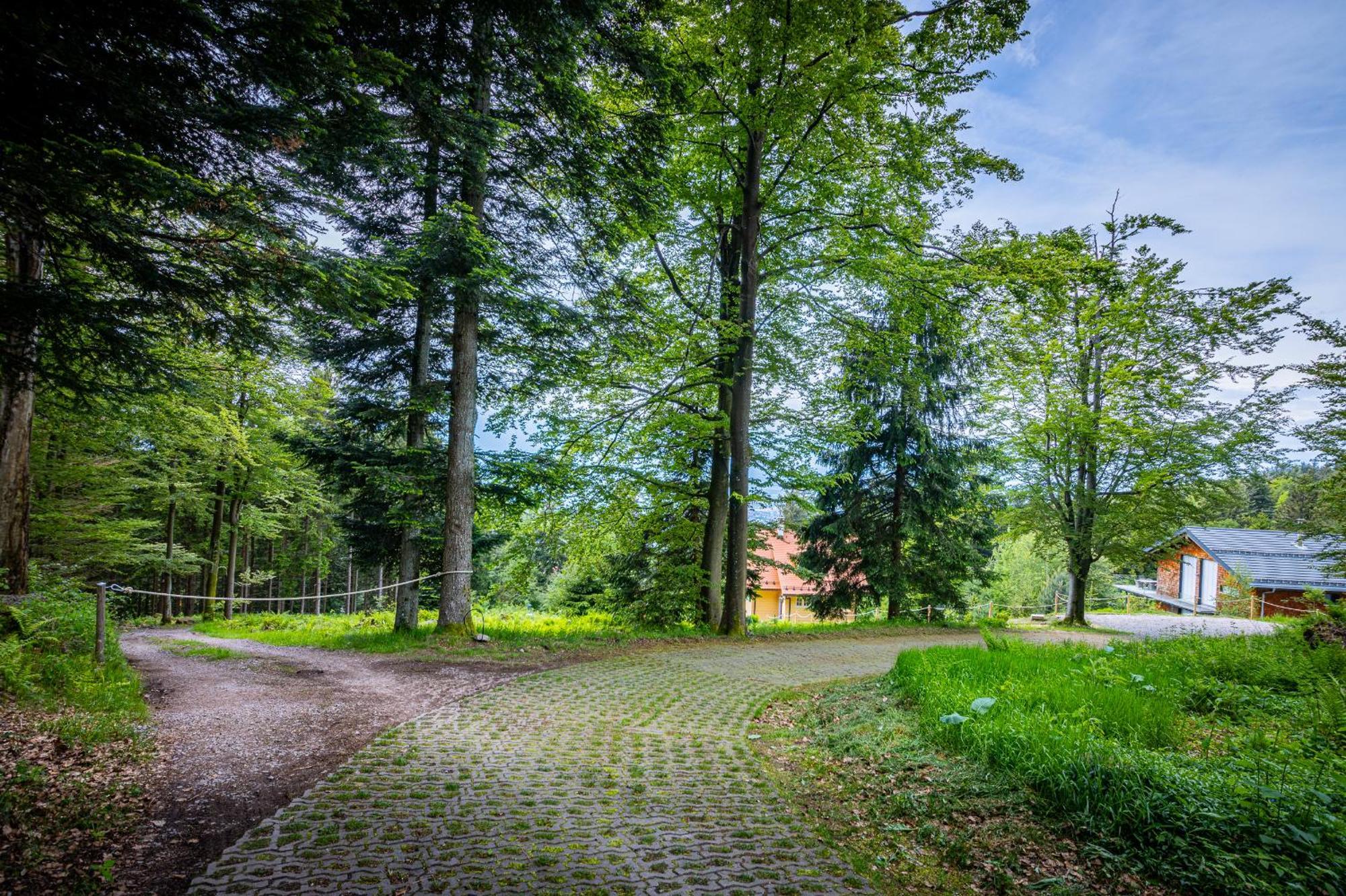 Sonnenhaeusle - Natur. Fernblick. Panorama-Sauna. Sasbachwalden Exterior foto